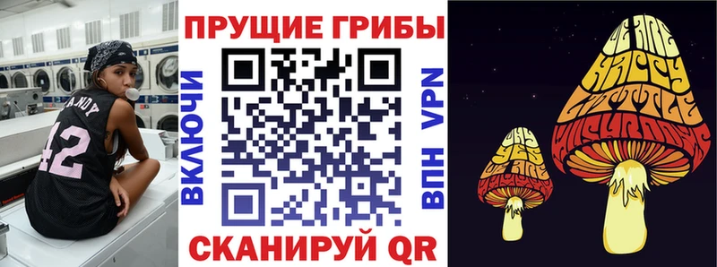как найти закладки  ссылка на мегу сайт  Псилоцибиновые грибы GOLDEN TEACHER  Североморск 